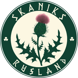 Статистика Дзен «Skaniks Rusland» LLC