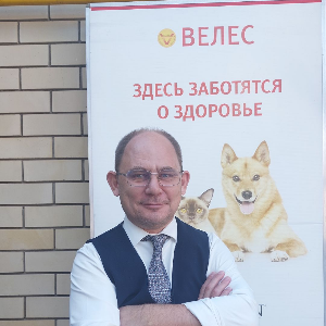 Статистика Дзен Ветврач г.  Астрахань Андрей Столбовой