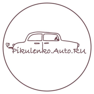Статистика Дзен Пикуленко Авто