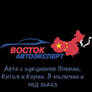 Статистика Дзен Восток Автоэксперт