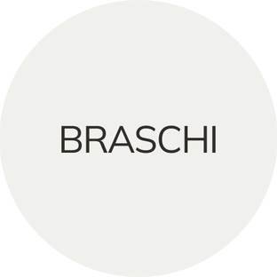 Статистика Дзен Меха BRASCHI