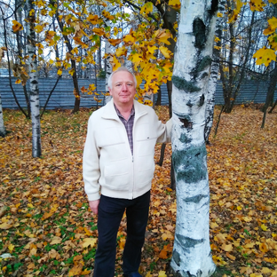 Статистика Дзен Сергей Еремеев. Незабываемое