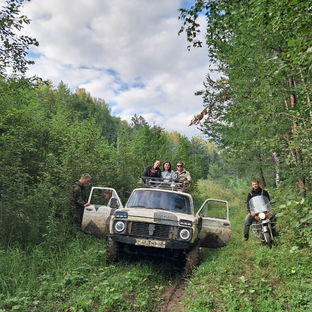 Статистика Дзен Гараж & Жизнь 🚗✨ 