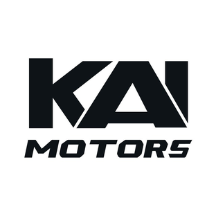 Статистика Дзен KAI motors