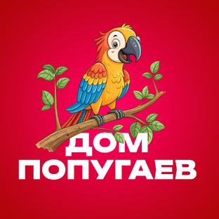 Статистика Дзен Зоопарк  "Дом Попугаев"