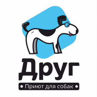 Статистика Дзен Приют "Друг"