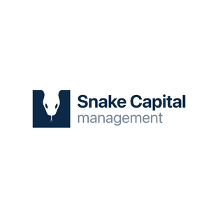 Статистика Дзен Snake Capital