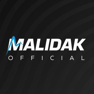 Статистика Дзен Malidak
