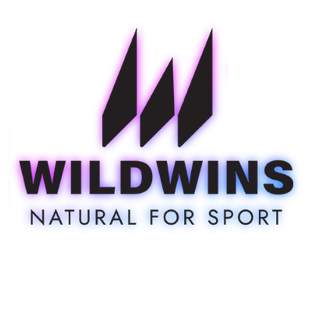 Статистика Дзен WILDWINS изнутри: спорт как ремесло