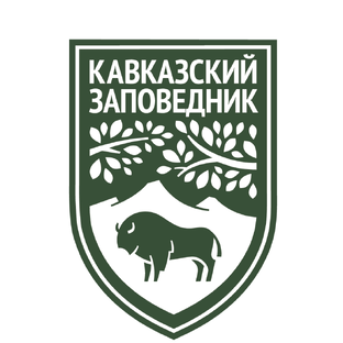 Статистика Дзен Кавказский заповедник