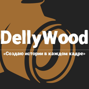 Статистика Дзен DellyWood