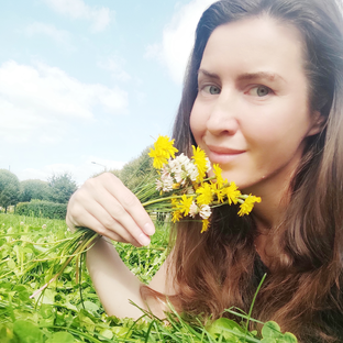 Статистика Дзен Дом, где живут ТРАВЫ 🌿