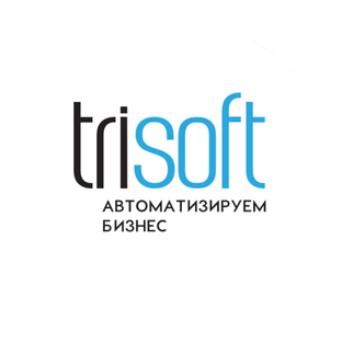 Статистика Дзен Трисофт | Всё, что вы стеснялись спросить про 1С