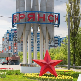 Статистика Дзен Брянская городская администрация
