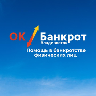 Статистика Дзен Все о банкротстве физических лиц простыми словами! от А до Я