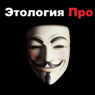 Статистика Дзен Этология Про