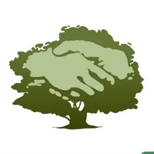 Статистика Дзен URMAN лесные решения 🌲