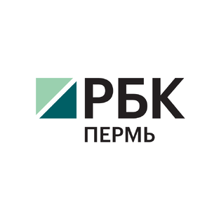 Статистика Дзен РБК Пермь | Новости