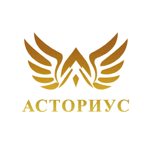 Статистика Дзен АСТОРИУС