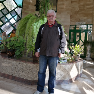 Статистика Дзен Владимир Денисов