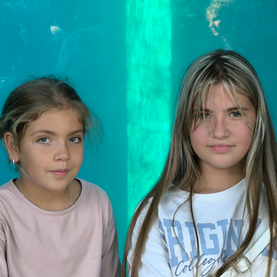 Статистика Дзен SisteRoom