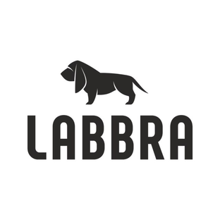 Статистика Дзен Labbra Official