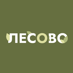 Статистика Дзен ЛЕСОВО