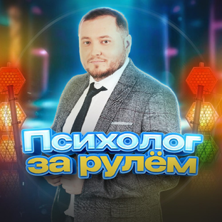 Статистика Дзен Психолог за рулем