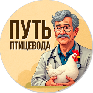 Статистика Дзен Путь Птицевода