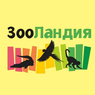 Статистика Дзен Зооландия 