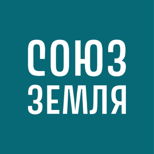Статистика Дзен Союз Земля - земельные участки в МО