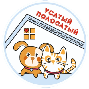 Статистика Дзен Приют для бездомных животных "Усатый Полосатый"