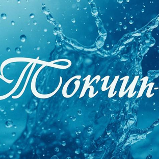 Статистика Дзен Токчин-Спа