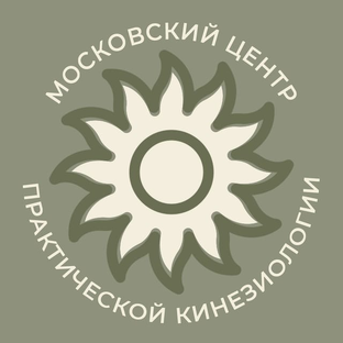 Статистика Дзен Московский центр практической кинезиологии 