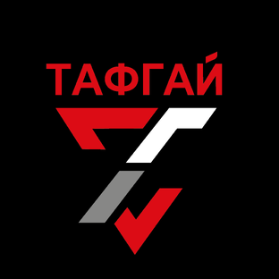 Статистика Дзен «ТАФГАЙ» Магазин хоккейной экипировки