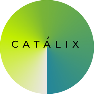 Статистика Дзен Catalix