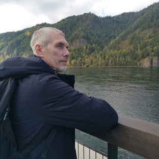 Статистика Дзен Курс за горизонт