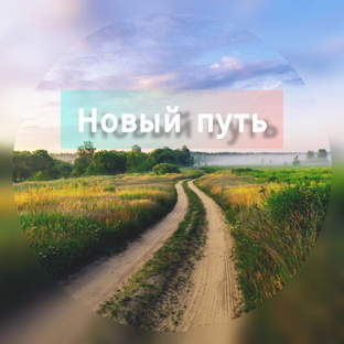 Статистика Дзен Новый путь