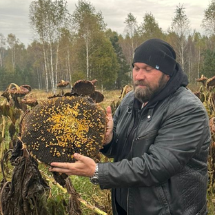 Статистика Дзен РусскиеСемена.  Russianseeds
