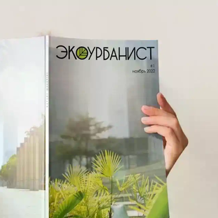 Статистика Дзен ЭКОУРБАНИСТ