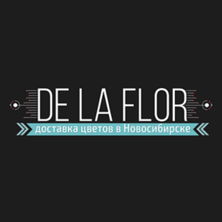 Статистика Дзен DeLaFlor