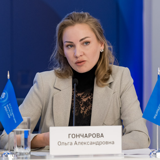 Статистика Дзен Ольга Гончарова