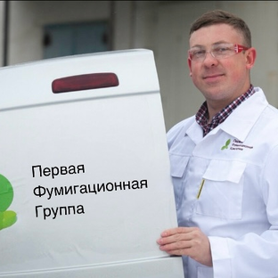 Статистика Дзен Первая Фумигационная Группа