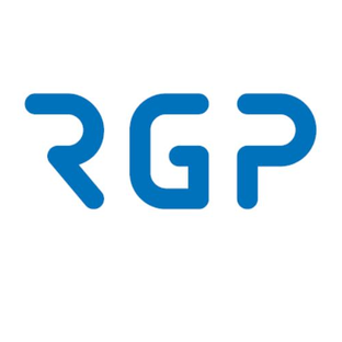 Статистика Дзен Завод RGP