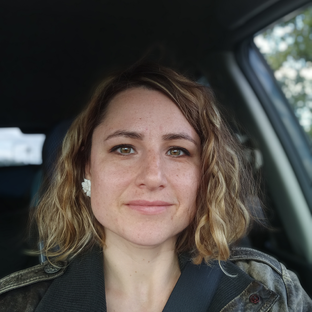 Статистика Дзен Миколог Екатерина Павлова