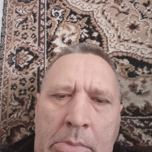 Статистика Дзен Дима Галдин