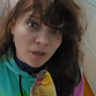 Статистика Дзен Вобла новости
