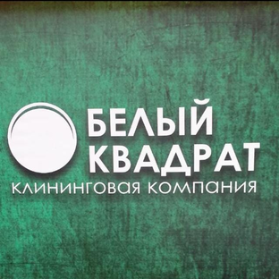 Статистика Дзен Клининговая компания "Белый квадрат"