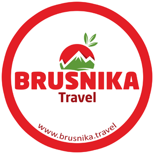 Дзен BRUSNIKA TRAVEL статистика