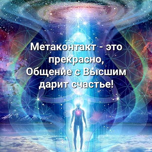 Статистика Дзен Метаконтакт. Путешествие в непознанное